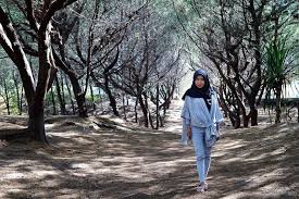Maybe you would like to learn more about one of these? My Dailosophy Pantai Cemara Sewu Tempatnya Berburu Foto Cantik Di Selatan Jogja