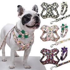 The nose is black, but may be lighter in lighter colored dogs. Floral Dog Collar Harness Leash Puppy Walk Collar Vest Lead For French Bulldog Ebay