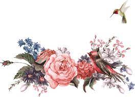 Png fiori gratis transparent images banco de imagenes: Uccello Fiore Royalty Free Illustrazione Vettore Di Fiori 5152 3737 Png Trasparente Scarica Gratis Rosa Impianto Fiore