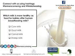 For a quick comparison, the table below, based on data from the usda food composite database, displays the micronutrient profile for both cow and goat milk per. Farmers Corner On Twitter Which Milk Is More Healthy As Food For Babies After Human Breastfeeding Milk Cow Milk Goat Milk Camel Milk Sheep Milk Dairy Milk Cow