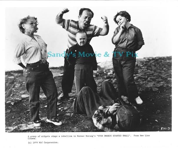 WERNER HERZOG'S Even Dwarfs Started Small Terrific Original Movie Photo  **RARE**