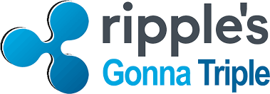 Browse and download hd windows xp logo png images with transparent background for free. Download R 3 2 Ripple Xrp Png Image With No Background Pngkey Com