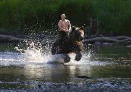 Resultado de imagen de putin y el oso