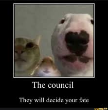 The Council They Will Decide Your Fate Ifunny Funny Cat Memes Funny Animal Memes Really Funny Memes