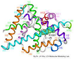 Then press the like button and subscribe to. Androgen Insensitivity Syndrome Wikipedia