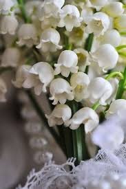 Dessinez, offrez, envoyer et partager gratuitement cette citation poème de marine et hervé sayer, 12 et 10 ans : Pin On Flowers Gardening