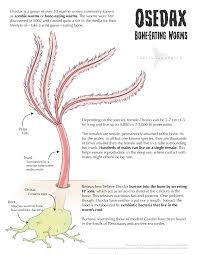 While zombies are unnatural beings who are not limited by pain, they are still subject to many of the laws of physics. Science Art And Science Art Inb4 My Friends Yell At Me For My Worm Content