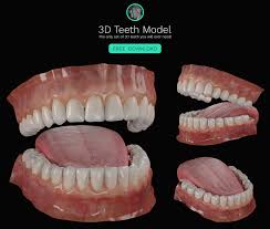 Artstation Free 3d Teeth Model Ben 3d Gladiator Model Teeth Gladiator