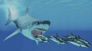 I dive in 40 to 100 feet of water to find the teeth. Riesiger Urzeithai Grosse Klappe Nix Zu Futtern Warum Megalodon Ausgestorben Ist Welt