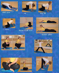 Pin On Pelvic Exercises And Stretches