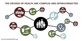 Welcome to the center for family health (cfh), we trust you will find our family of programs informative and user friendly. The Drivers Of Health 4 Factors That Influence Individual And Population Health