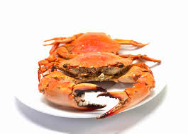 Check spelling or type a new query. Granchio Rosso Su Priorita Bassa Bianca Due Hanno Bollito I Granchi Del Mare Serviti Per Mangiare Fotografia Stock Immagine Di Chiusura Gastronomia 87742824