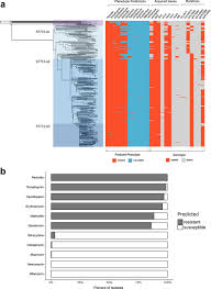 evolution and global transmission of a multidrug resistant