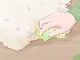 Check spelling or type a new query. 4 Ways To Clean A Genuine Leather Sheepskin Rug Wikihow