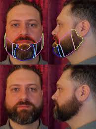 Cameron's Beard Experiment
