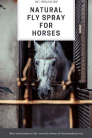 homemade natural fly spray for horses