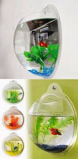 101 gardening beautiful fish bubble beautiful fish kids room cool stuff