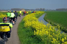 Tripadvisor has 31,126 reviews of holland hotels, attractions, and restaurants making it your best holland resource. Bike And Barge Holland Tulip Cycling Bike And The Like