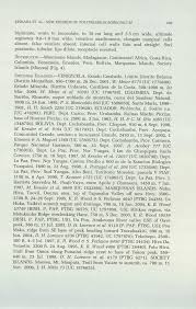 Image result for Polyphlebium borbonicum