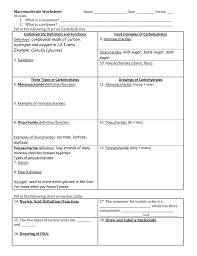 Macromolecule Worksheet 3