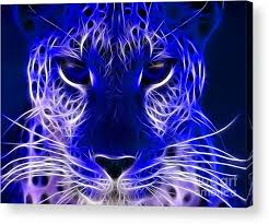 If you want to come up with exciting ideas or motivate yourself to improve your animal photography, this is the best place to start. Cool Wolf Electric Animal Wallpaper Acrylic Print By Ad Salaheddine