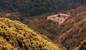 Image result for Rila