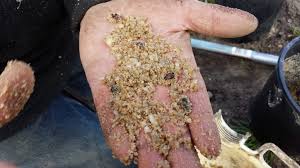 They rely on insects like beesto transfer pollen. Can You Grow An Apple Tree From A Seed