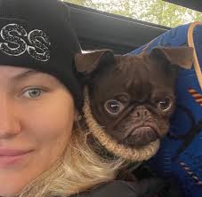 Brussel's Griffon. :-(