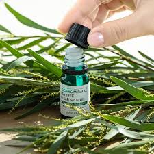 .serum adalah serum wajah dengan tekstur ringan yang mengandung community trade organic tea tree oil dari menurutku untuk harga rp279000 dengan isi sebanyak 50 ml the body shop tea tree daily belum pernah coba tea tree serum ini. Serum Trá»‹ Má»¥n The Body Shop Anti Imperfection Daily Solution Damask Má»¹ Pháº©m Chinh Hang