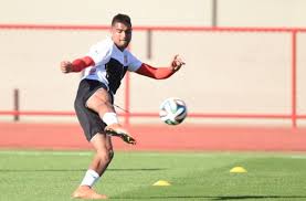 Esta é a página da carreira na seleção de prince boateng do clube berekum arsenals. Kevin Prince Boateng Foto Und Sulley Muntari Sind Aus Dem Kader Der Nationalmannschaft Ghanas Geflogen Stuttgarter Zeitung