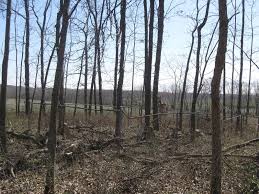 Snell Cemetery in Missouri