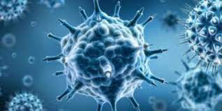 Acute respiratory viral infections and influenza can be treated with the use of the drugs that affect for citation: Het Rs Virus Huisartsenpraktijk De Waterlelie