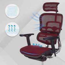 Silla de oficina Ergohuman con reposacabezas, aluminio, r...