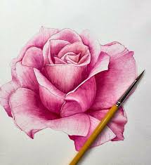 Pin Su Guller Roses