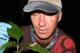 Rare frog find gives herpetologist hope