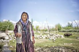 It makes thick woollen coarse fabrics ladakh does not have a textile cottage industry. Traditions Customs Lifestyle Of People Of Ladakh Treebo Blog