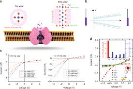 Lithium is fairly abundant in nature, but getting large quantities suitable for use in battery cells is a slow and expensive process. Design Principles Of Ion Selective Nanostructured Membranes For The Extraction Of Lithium Ions Nature Communications