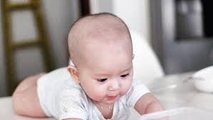 Bayi sejak lahir sampai usia 6 bulan memasuki fasi belajar cara menyusu kepada ibunya sehingga setelah usianya memasuki 6 bulan, bayi mulai belajar fase baru yaitu belajar untuk mendorong. 8 Makanan Padat Untuk Bayi Usia 6 Bulan