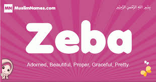 Discover 1000's of girls names starting with p. Zeba Meaning Of The Muslim Baby Name Zeba