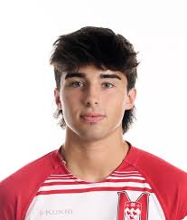 Nicolas Vicente Louis