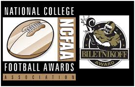 Image result for biletnikoff award