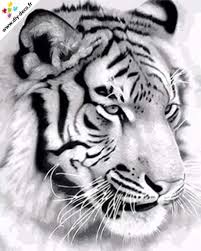 Dessin & coloriage de tigre en ligne, gratuit à imprimer pour colorier tigre avec les enfants et adultes. Peinture Par Numero Noir Et Blanc Animaux Diy Deco Peinture Noir Et Blanc Dessin Tigre Peinture Par Numero