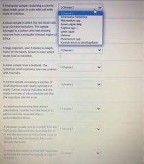 We did not find results for: Choose A Freshwater Sample Containing A Colonial Chegg Com