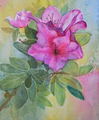 Pin On Azaleas