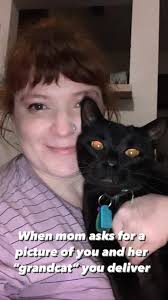 Pet sitting services in Elburn, IL