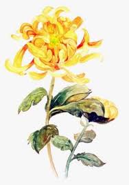 Check spelling or type a new query. Hand Painted Classical Aesthetic Peony Flower Png Transparent Aesthetic Flower Png Png Image Transparent Png Free Download On Seekpng