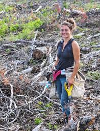 Business Opportunities