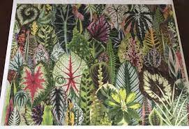 Skip to the end of the images gallery. Galison 1000 Houseplant Jungle Jigsawpuzzles