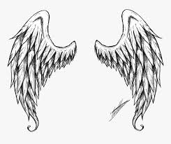 Maybe you would like to learn more about one of these? Wings Png Image Download Realistic Angel Wings Drawing Transparent Png Kindpng