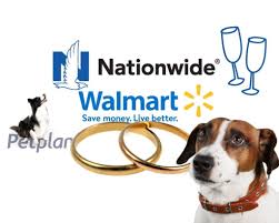 What does nationwide pet insurance cover. Walmart Goes Nationwide For Pet Insurance Leaving Its Own Partner At The Altar